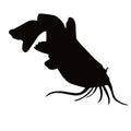 Catfish Fishing Window Decal - Catfish Fishing Window Sticker - 1271