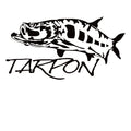 Tarpon Fishing Window Decal - Tarpon Fishing Window Sticker - 7053