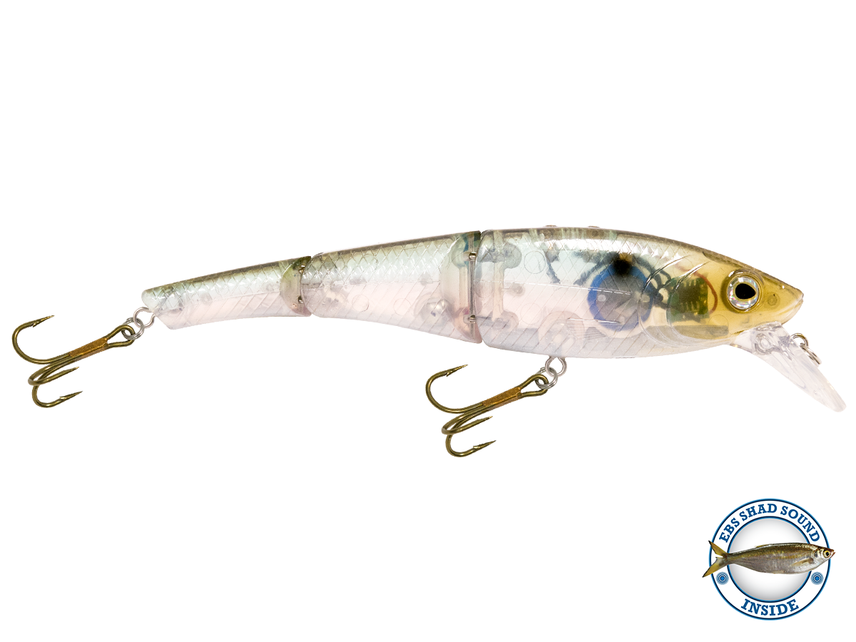 Head Hunter 6"