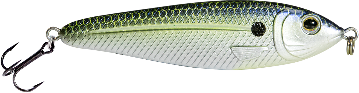 EBS Jigging Spoon