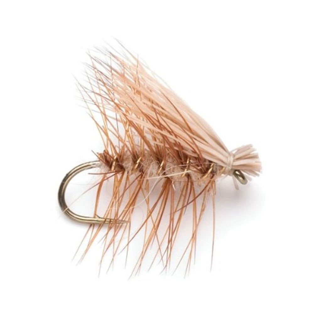 Trout Fly Assortment - Essential Western Dry and Nymph Fly Fishing Flies Collection - 1 Dozen Trout Flies with Fly Box