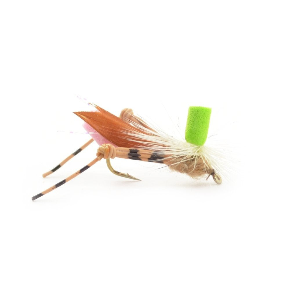Trout Fly Assortment - Premium Terrestrial Flies - 24 Essential Hoppers, Ants and Beetles with Fly Box