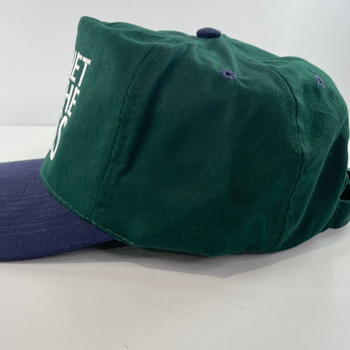 Planet of the Bass Custom Embroidered Strapback Hat Cap
