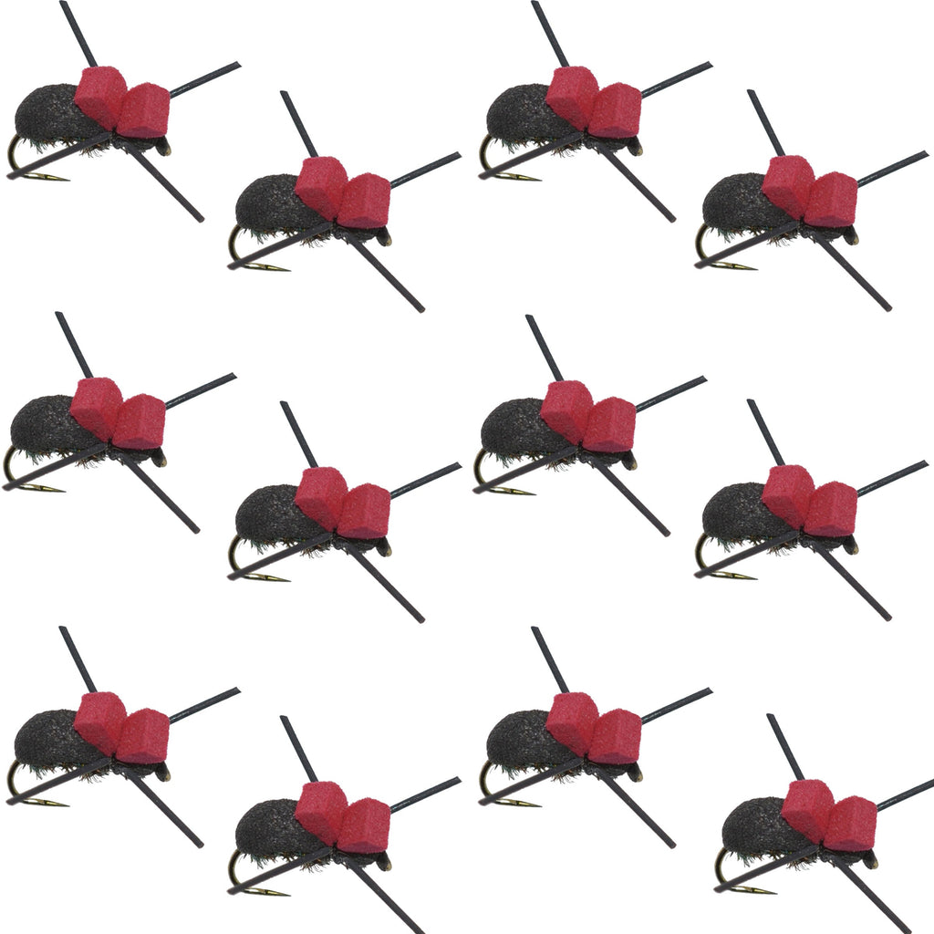 Red Top Black Foam Beetle Terrestrial Trout Dry Fly Fishing Flies - 12 Flies Size 14