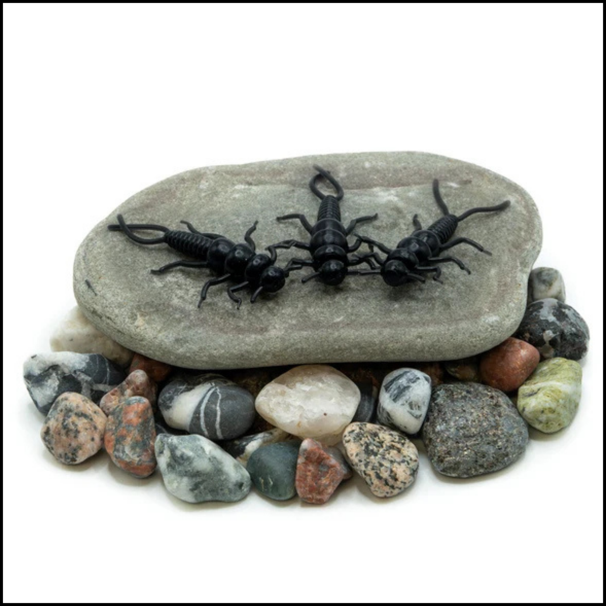 Death Roe Sinister Stone soft stonefly - view 4