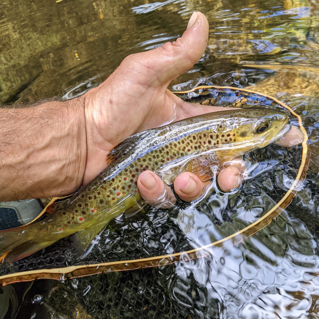 Brookie - Bamboo Fly Fishing Landing Net/Hand Net