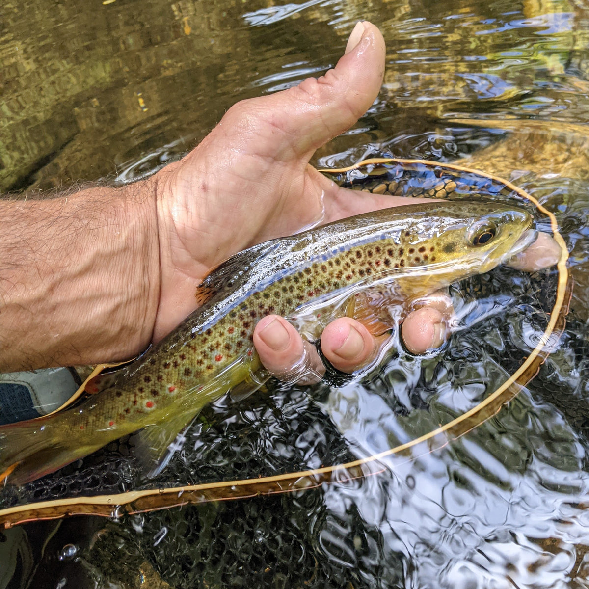 Brookie - Bamboo Fly Fishing Landing Net/Hand Net