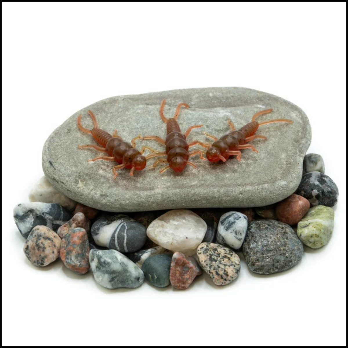 Death Roe Sinister Stone soft stonefly - view 3