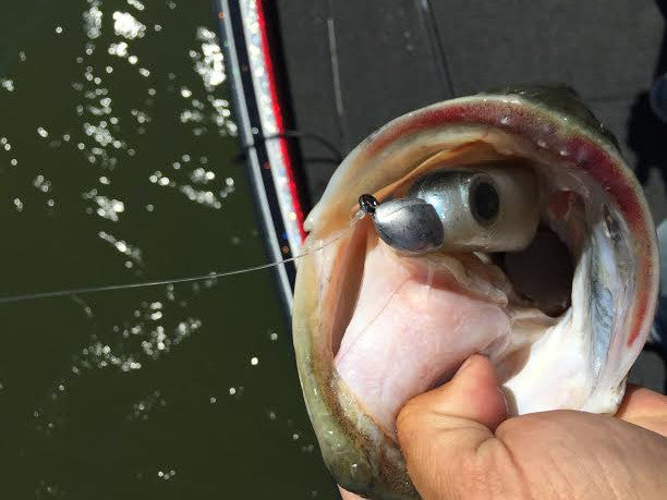 True Lock Swimbait Heads