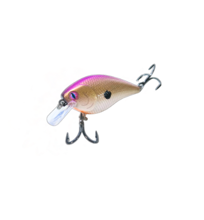 Tennessee Shad