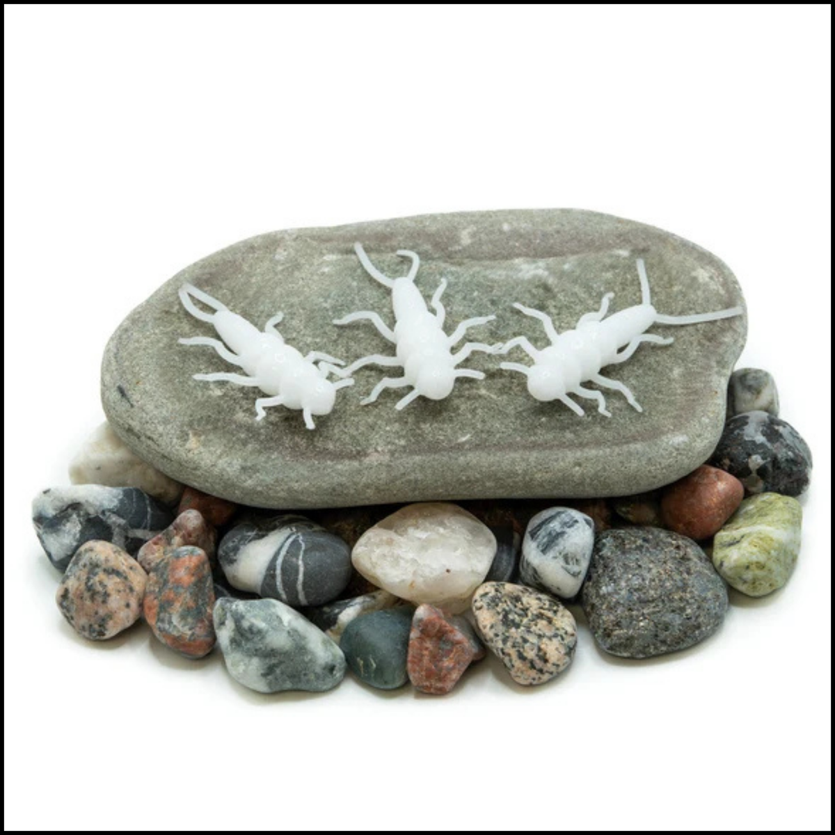 Death Roe Sinister Stone Bug 10pk